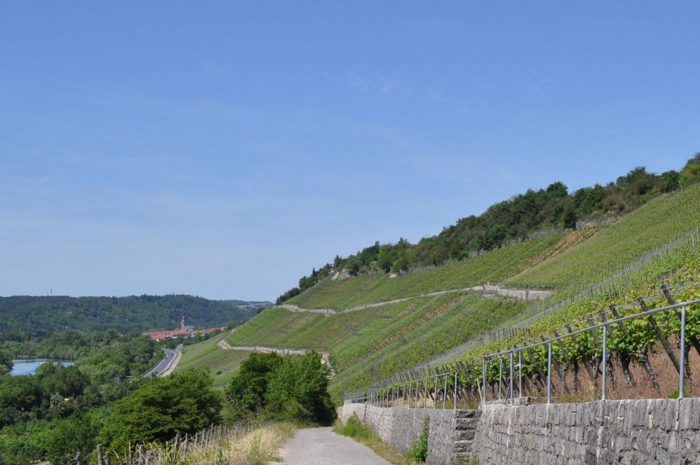 Eichenlohe-Weg