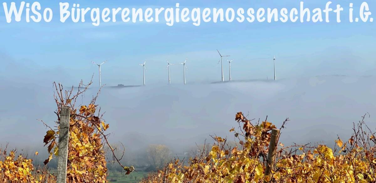 Bild aus Präsentation