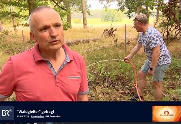 Waldgießer Sommerhausen