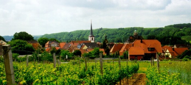 Marktsteft