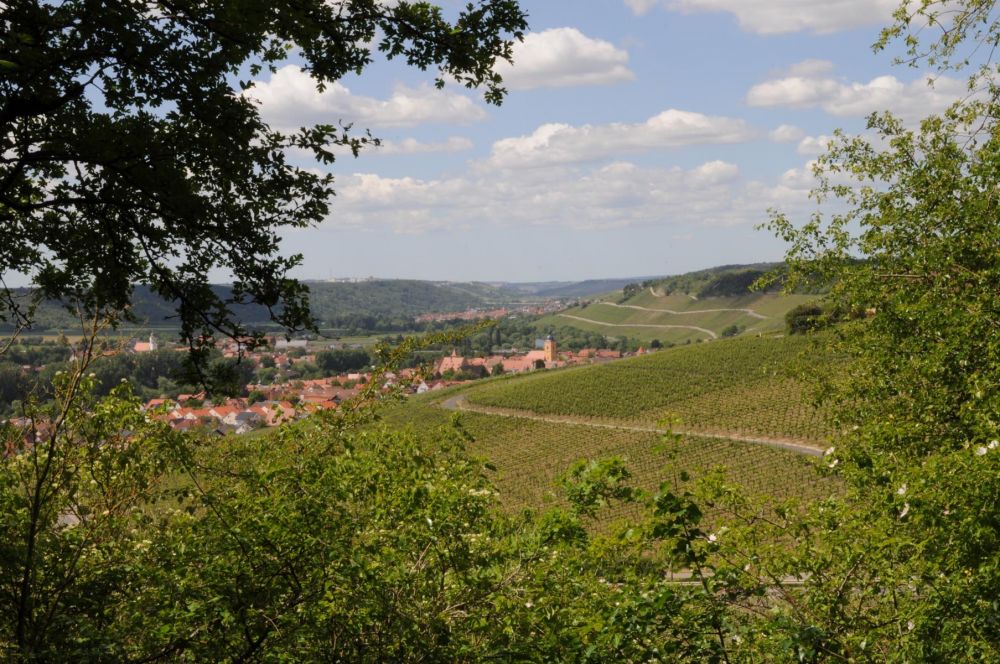 Panoramaweg