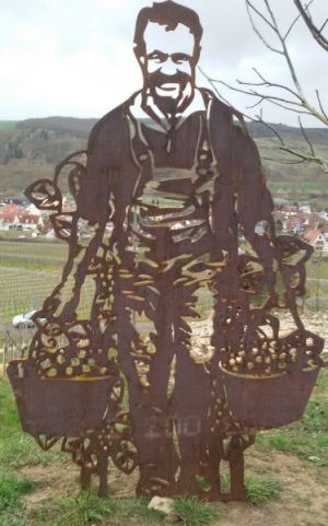Der Winzer