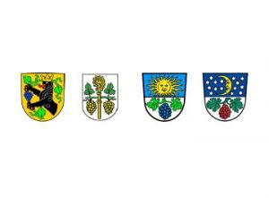 vgem Logos